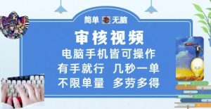 审核视频，电脑手机皆可操作，有手就行，几秒一单，不限单量，多劳多得【揭秘】-沐风资源库
