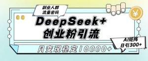 DeepSeek+创业粉精准引流，全新分享课4.0玩法，AI矩阵日引300+，多种变现方式，稳定月入1W-沐风资源库