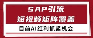 小红书某音sap赛道引流获客 自热矩阵日引200+【揭秘】-沐风资源库