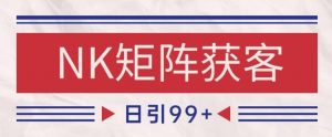 小红书某音NK赛道引流获客 自热矩阵日引200+【揭秘】-沐风资源库