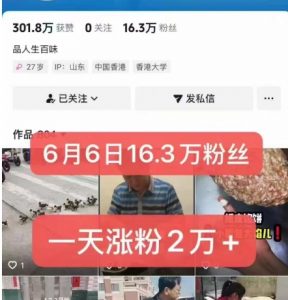 外面卖5000最新抖音搬运涨粉技术，新玩法，一分钟一条，一天涨粉2W，苹果安卓都可用-沐风资源库