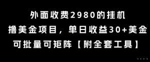 外面收费2980的挂G撸美金项目，单日收益30+美金，可批量可矩阵【揭秘】-沐风资源库