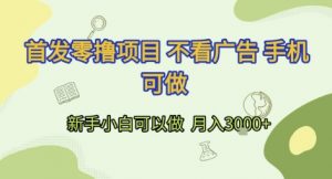 首发零撸项目 不看广告 手机可做 新手小白可以做  月入3k+【揭秘】-沐风资源库