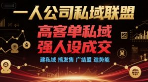 一人公司私域联盟，高客单私域，强人设成交，建私域 搞发售 广结盟 造势能-沐风资源库