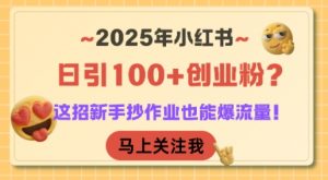 2025年小红书日引100+创业粉？这招新手抄作业也能爆流量！-沐风资源库