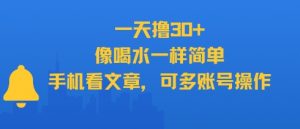 一天撸30+，像喝水一样简单，手机看文章，可多账号操作-沐风资源库