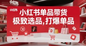 小红书单品带货，极致选品，打爆单品（更新）-沐风资源库
