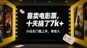 靠卖电影票，十天搞了7k+，小白无门槛上手，零投入【揭秘】-沐风资源库