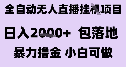最新全自动抖音无人直播挂G项目,日入2k+ 包落地暴力撸金,小白可做【揭秘】-沐风资源库