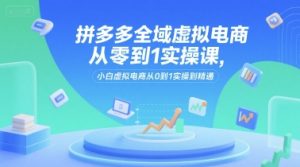 拼多多全域虚拟电商从零到1实操课，小白虚拟电商从0到1实操到精通-沐风资源库