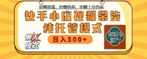 快手小店托管代运营，无需剪辑，无需选品，无需上传作品，全程无需操作，轻松月入5k+【揭秘】-沐风资源库
