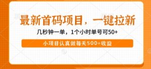 最新首码项目，操作最简单，收益高，一键拉新，1个小时单号可50+，小项目认真做每天5张+收益【揭秘】-沐风资源库