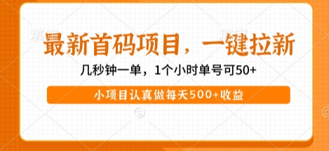 最新首码项目，操作最简单，收益高，一键拉新，1个小时单号可50+，小项目认真做每天5张+收益【揭秘】-沐风资源库