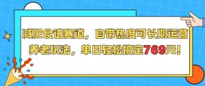 减肥食谱赛道，自带热度可长期运营，养老玩法，单日轻松搞定769-沐风资源库