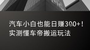 汽车小白也能日入3张！实测懂车帝搬运玩法-沐风资源库