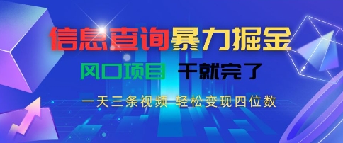 信息查询暴力掘金，一天三条视频，轻松变现四位数，风口项目干就完了【揭秘】-沐风资源库