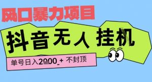 2025最新抖音暴力挂G撸金项目，单号产出2k+ ，小白当天也能拿结果，长期稳定做的项目【揭秘】-沐风资源库