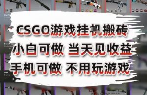 CSGO游戏挂G搬砖，小白纯手机即可操作，不用电脑打游戏，日入3张+，副业网创项目【揭秘】-沐风资源库