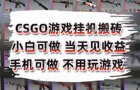 CSGO游戏挂G搬砖，小白纯手机即可操作，不用电脑打游戏，日入3张+，副业网创项目【揭秘】-沐风资源库