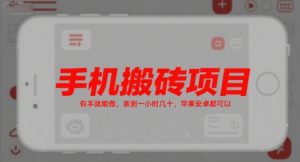 手机搬砖项目，有手就能做，亲测一小时几十，苹果安卓都可以-沐风资源库