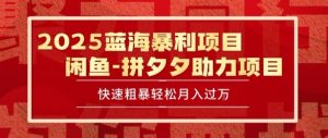 2025 最新闲鱼蓝海暴利项目 快速粗暴让你月入过1W不是梦，保姆级教程【揭秘】-沐风资源库