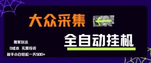 大众采集全自动玩法，新手小白轻松一天5张+，操作简单零成本【揭秘】-沐风资源库