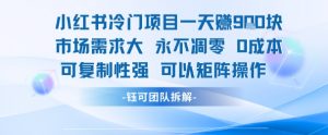 小红书冷门项目一天收益9张，市场需求大，0成本，可复制性强可以矩阵操作-沐风资源库
