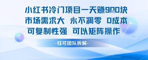 小红书冷门项目一天收益9张，市场需求大，0成本，可复制性强可以矩阵操作-沐风资源库