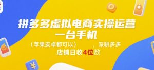 拼多多虚拟电商实操运营，一台手机(苹果安卓都可以)，深耕多多店铺日收4位数-沐风资源库