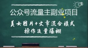 公众号流量主副业项目,美女图片+文章混合模式操作流量爆棚-沐风资源库