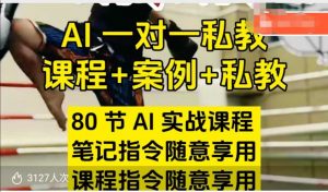 AI指令实战课，课程+案例，80节AI实战课程，笔记指令随意享用，课程指令随意享用（更新7月）-沐风资源库