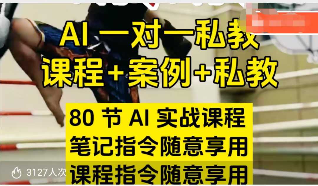 AI指令实战课，课程+案例，80节AI实战课程，笔记指令随意享用，课程指令随意享用（更新7月）-沐风资源库