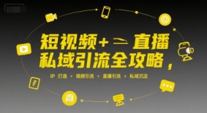 短视频+直播私域引流全攻略，IP打造 +视频引流 +直播引流 +私域沉淀-沐风资源库