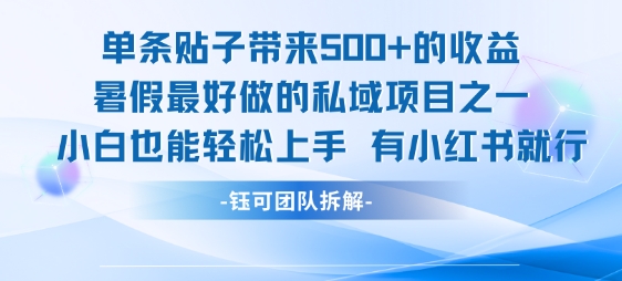 单条贴子带来5张的收益，暑假最好做的私域项目之一，小白也能轻松上手，有小红书就行-沐风资源库