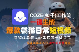 COZE(扣子)工作流一键生成爆款橘猫日常短视频，保姆级教程，零基础快速入门-沐风资源库
