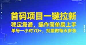 首码项目一键拉新，稳定靠谱，操作简单易上手，单号一小时70+，批量做每天多张【揭秘】-沐风资源库