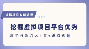 抓住虚拟项目各平台优势，新手轻松月入1W+(给出具体建议)-沐风资源库