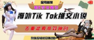 海外tiktok小说推文暴力项目，高停留率，高转化率，上手后一天搞顿饭钱不是问题-沐风资源库