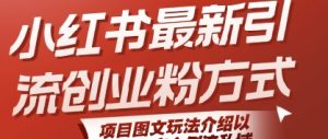 小红书最新引流创业粉方式，项目图文玩法介绍以及如何安全倒流私域-沐风资源库