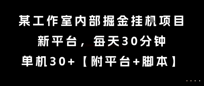 某工作室内部掘金挂G项目，新平台，每天30分钟，单机30+【揭秘】-沐风资源库