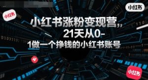 小红书涨粉变现营，21天从0-1做一个挣钱的小红书账号-沐风资源库