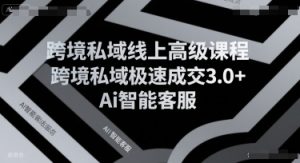 跨境私域线上高级课程，跨境私域极速成交3.0+Ai智能客服-沐风资源库