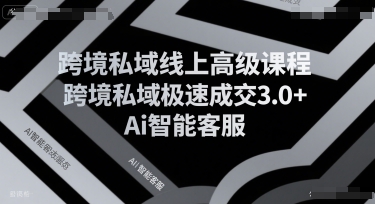 跨境私域线上高级课程，跨境私域极速成交3.0+Ai智能客服-沐风资源库