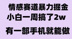 情感暴力掘金项目，新人操作一周挣了2W，长期稳定小白可做【揭秘】-沐风资源库