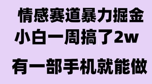 情感暴力掘金项目，新人操作一周挣了2W，长期稳定小白可做【揭秘】-沐风资源库