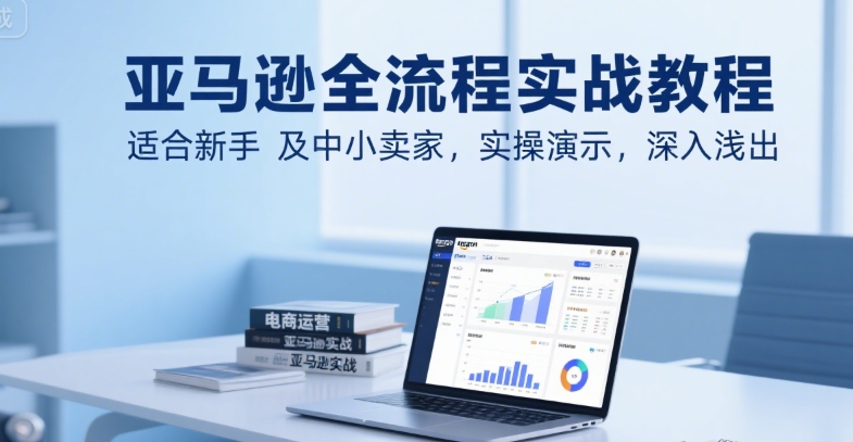 亚马逊全流程实战教程，适合新手及中小卖家，实操演示，深入浅出-沐风资源库