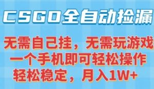 CSGO自动捡漏项目，最新独家玩法，一个手机可操作，新手小白轻松月入1W+，操作简单易上手【揭秘】-沐风资源库
