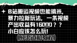 b站掘金计划？搬运视频也能挣拉新的收益，小白应该怎么玩！-沐风资源库