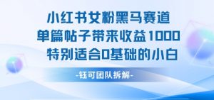 小红书女粉黑马赛道单篇帖子带来收益1k+，特别适合0基础的小白-沐风资源库