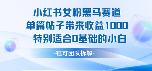 小红书女粉黑马赛道单篇帖子带来收益1k+，特别适合0基础的小白-沐风资源库